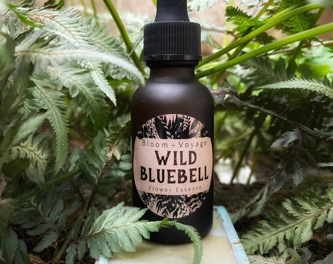 Wild Bluebell Flower Essence Etsy