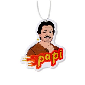 May include: A white car air freshener with a cartoon illustration of a man with a mustache and the word "papi" in yellow letters with a red and orange flame behind it.