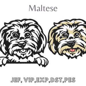 Maltese Dog Breed, Embroidery Design,  Easy Machine Embroidery, Digital File