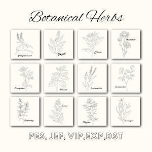 Botanical Herbs Embroidery Design: Machine Embroidery (Digital File)