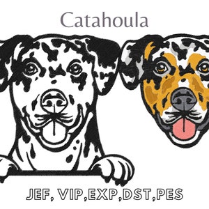 May include: Two Catahoula dog designs are displayed. One is a black and white outline, the other is colored with black, white, and tan. The text "2 Designs" and "Catahoula" are above the dogs. Below the dogs are the file types JEF, VIP, EXP, DST, and PES.