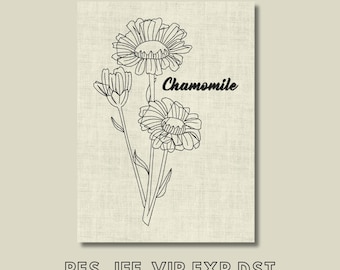 Disegno ricamo camomilla, erbe botaniche, ricamo a macchina facile, download immediato, file digitale