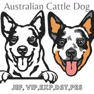 Australian Cattle Dog, Easy Machine Embroidery, Digital File