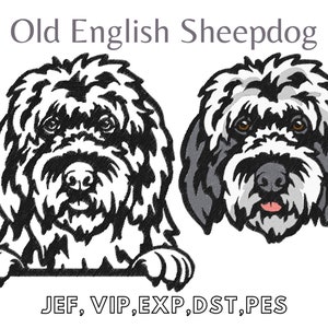 Raza de perro pastor inglés antiguo, diseño de bordado, bordado de máquina fácil, archivo digital