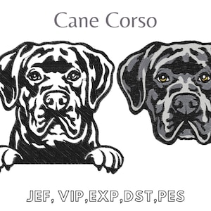 Cane Corso,  Easy Machine Embroidery, Digital File