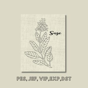 Sage Embroidery Design, Botanical Herbs, Easy Machine Embroidery, Instant Download, Digital File