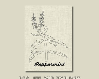 Desenho de bordado de hortelã-pimenta, ervas botânicas, bordado fácil à máquina, download instantâneo, arquivo digital