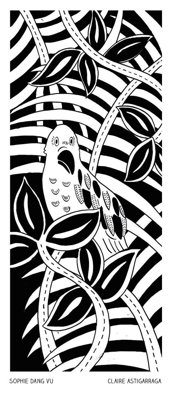 Carte A5 Perroquet 2, Collection Amazone