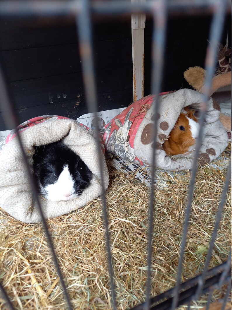 Cuddle Sacks, Cosy Sacks for Guinea Pigs and Small Pets image 4