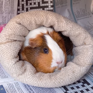 Cuddle Sacks, Cosy Sacks for Guinea Pigs and Small Pets image 6