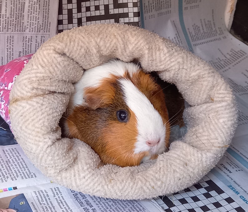 Cuddle Sacks, Cosy Sacks for Guinea Pigs and Small Pets image 6