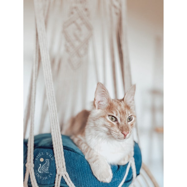 XXL Cat Hammock for Big Cats, Macramé Cat Bed, Boho Hanging Pet Bed, Macramé Cat Swing, Cat Gift, Pet Furniture, Maine Coon, Norwegian Cat