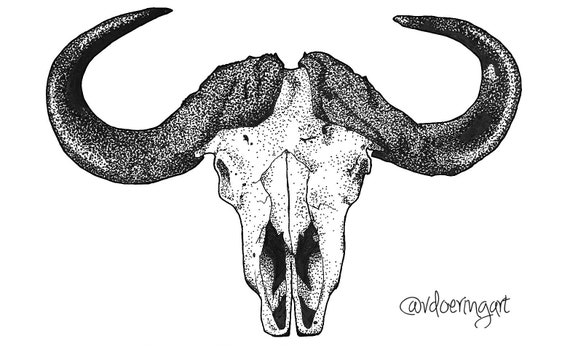 Cape Buffalo Skull Print - Etsy