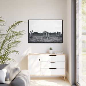 Framed Pelican Canvas Print | Monochrome Canvas Art | Beach House Decor | Ocean Artwork | Sea Birds | Nature Wall Art | Modern Wall Art