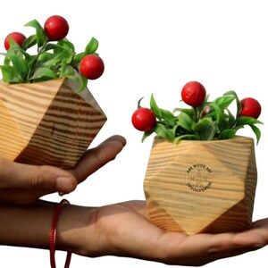Blumentopfhalter für Zuhause, Büro, Wohnzimmer, Flur, Eingangsbereich, Hochzeit, Geschenk Teures Einzigartiges Dekoratives Modernes Wohnzimmer Handgemacht