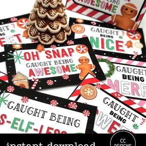 Caught Being Good Cards   Holiday Christmas Edition    Holiday Behavior Card   Reward System for School Homeschool Work  Instant Download