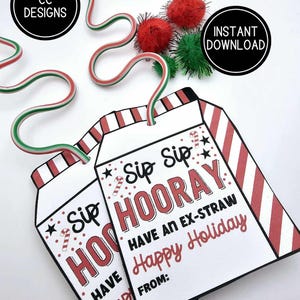 Holiday Milk Carton Tags  Christmas Milk Straw Printable Favor Party Tags   Instant Download  Class Treat Favor for Kids    EASY PREP