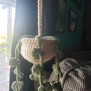May include: A crocheted hanging planter with a beige pot and green leaves. The planter is hanging from a rope and is in front of a window.