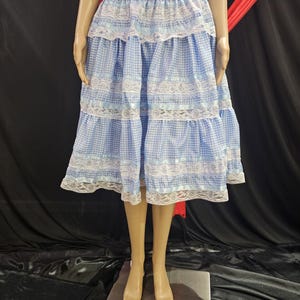 May include: A blue and white gingham skirt with a tiered design. The skirt features white lace trim and a gathered elastic waistband. The skirt is displayed on a mannequin against a black backdrop.
