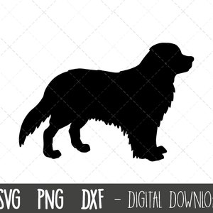 Berner Sennenhund svg, Berner Sennenhund svg, Berner Sennenhund svg, Sennenhund svg, Berner Sennenrenschnitt png, Silhouette Plotterdatei
