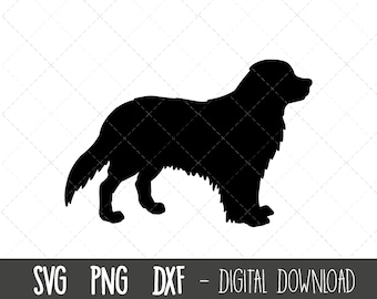 バーニーズ マウンテン ドッグ svg、犬 svg、バーニーズ マウンテン