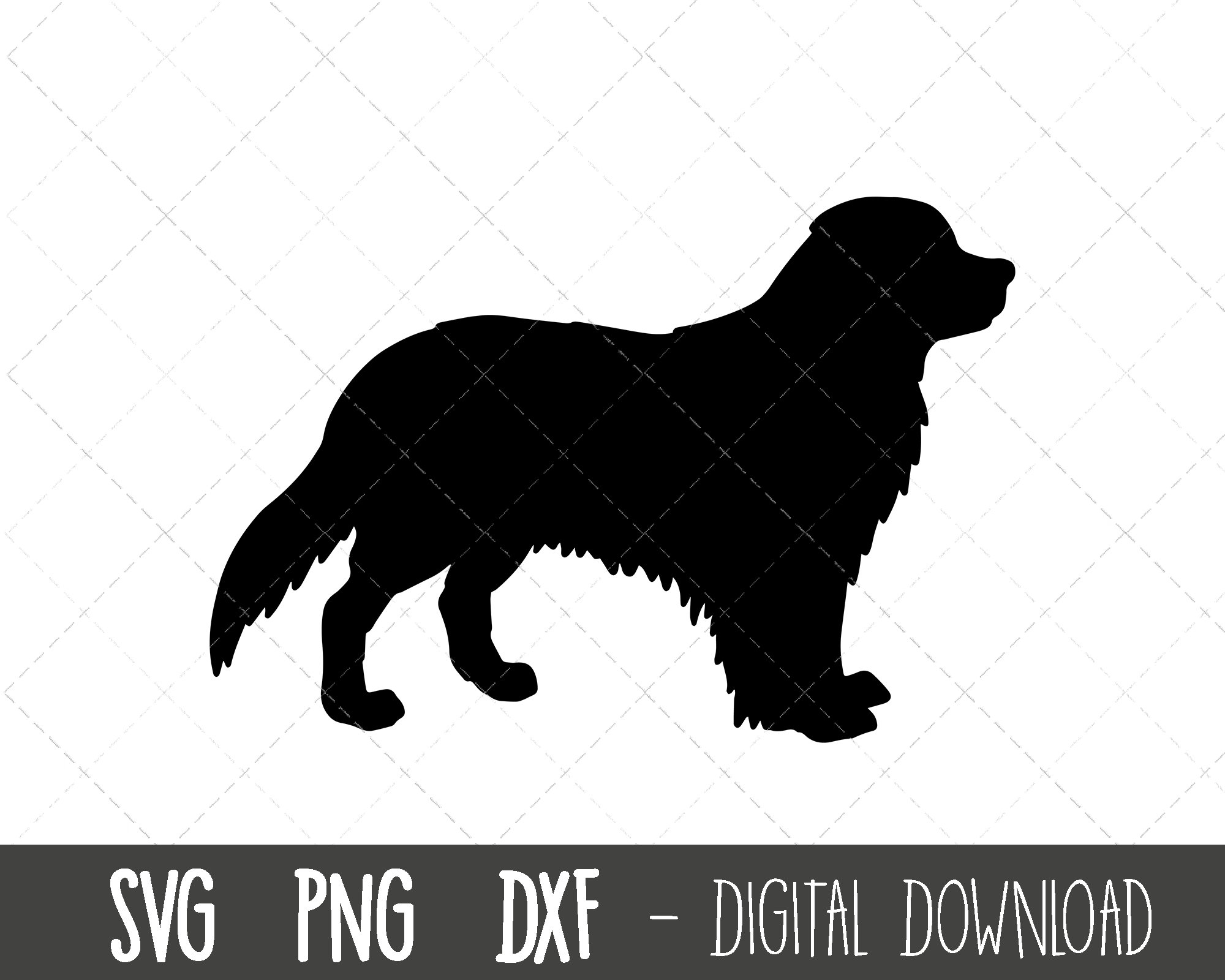 バーニーズ マウンテン ドッグ svg、犬 svg、バーニーズ マウンテン