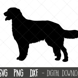 Hovawart SVG, dog svg, Hovawart silhouette, Hovawart outline png, Hovawart clipart, dog pet png, dxf, Hovawart cricut silhouette cut file