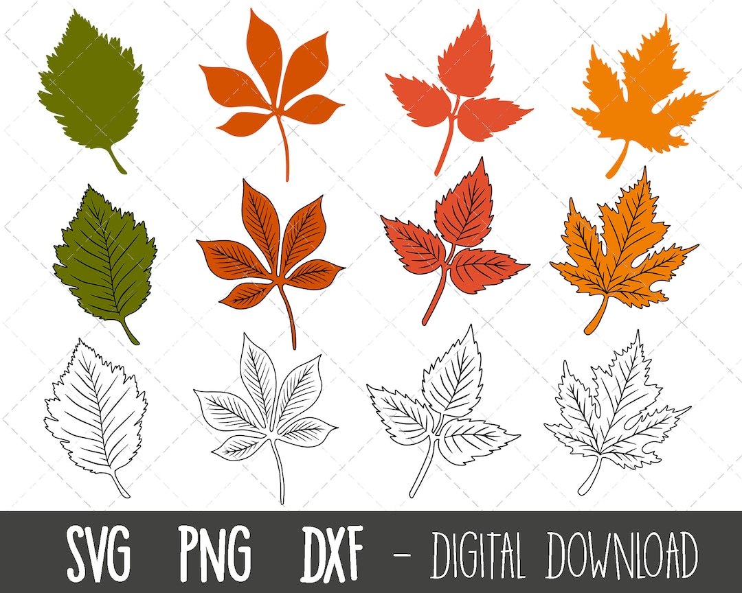 Fall Leaves SVG, Autumn Leaves Svg Clipart, Leaves Clipart Bundle