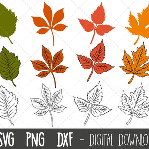 Fall leaves SVG, autumn leaves svg clipart, leaves clipart bundle, leaves svg files, fall leaf cut file, leaf cricut silhouette svg cut file