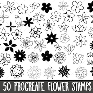 Procreate Blumenstempel, Procreate Stempelset, Procreate Blumenbürsten, Procreate Doodles, botanische Blumenstempel, 50 Blumenstempelpaket