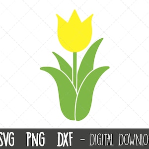 Tulip SVG, Spring flower SVG, flower svg, flower clipart, spring clipart, floral svg, floral clipart, tulip cricut silhouette svg cut file