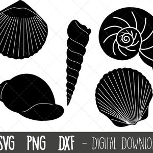 Sea shell SVG bundle, seashell svg, shell svg, seashell PNG, seashell silhouette, sea shell clipart, svg files, cricut silhouette cut files