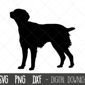 Brittany svg, dog svg, Brittany dog silhouette, Brittany outline, Brittany clipart, pet dog png, dxf, Brittany cricut silhouette cut file