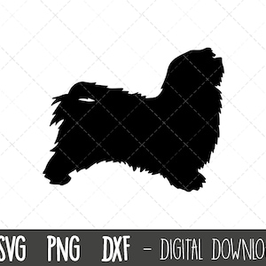 Havanese svg, dog svg, Havanese silhouette, Havanese outline png, Havanese clipart, pet dog png, dxf, Havanese cricut silhouette cut file