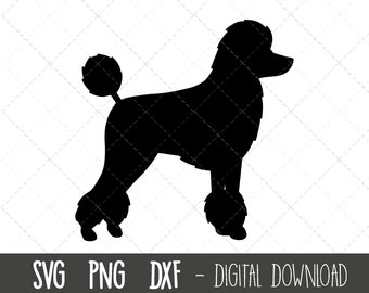 Poodle svg, dog svg, Poodle silhouette, Poodle outline png, Poodle clipart, dog pet png, dxf, Poodle vector, cricut silhouette cut file