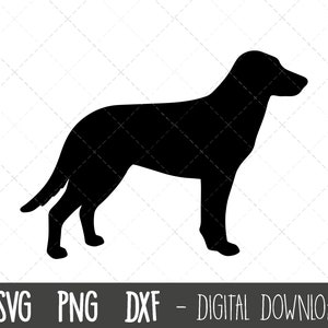 Chinook svg, dog svg, Chinook silhouette, Chinook outline png, Chinook clipart, pet dog png, dxf, Chinook cricut silhouette svg cut file