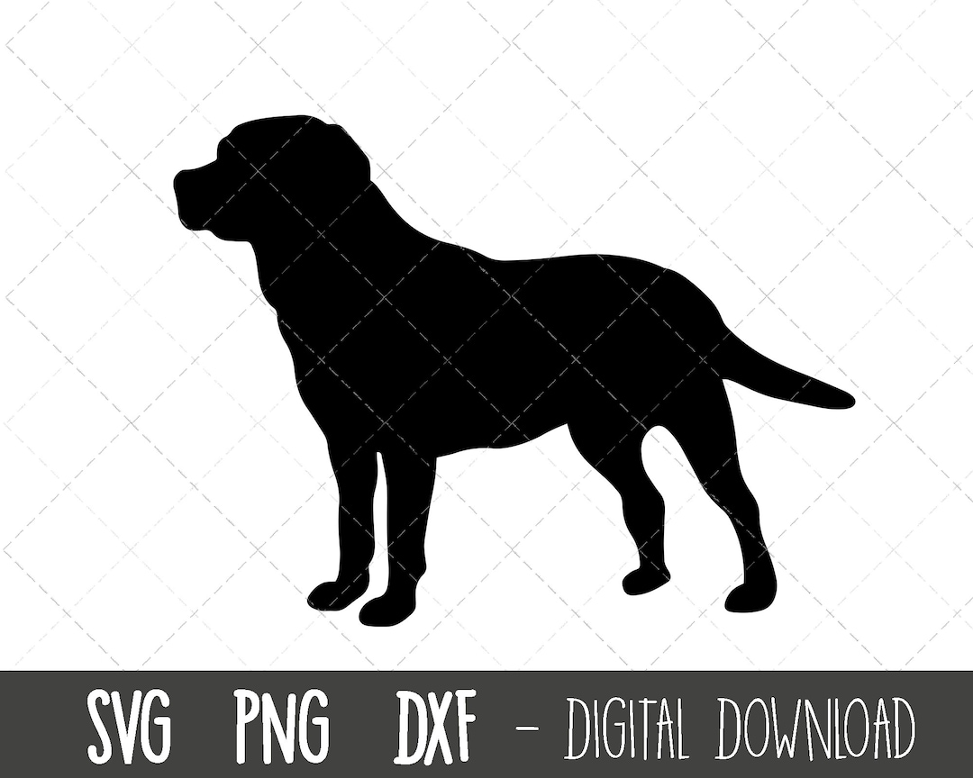 Labrador Svg, Dog Svg, Labrador Retriever Silhouette, Labrador Outline