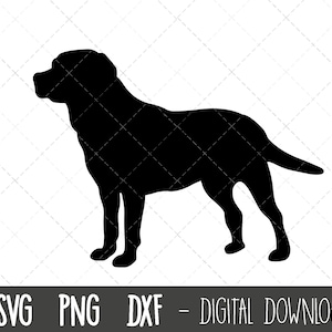 Labrador svg, dog svg, Labrador retriever silhouette, Labrador outline png, Labrador clipart, dog pet png, cricut silhouette svg cut file