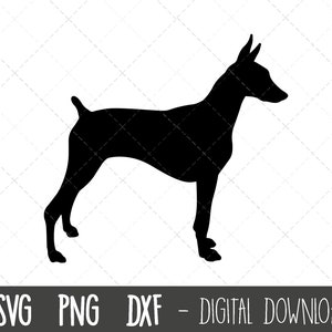 Doberman svg, dog svg, Doberman silhouette, Doberman outline png, Doberman clipart, pet dog png, dxf, Doberman cricut silhouette cut file