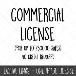 Licenza commerciale al limite di 250000, nessun credito richiesto, licenza di un'immagine, collegamenti digitali