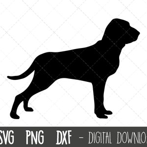 Bracco Italiano svg, dog svg, bracco silhouette, Bracco Italiano outline png, bracco clipart, pet dog png, dxf, cricut silhouette cut file