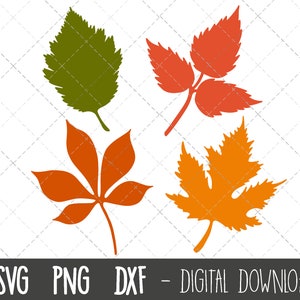 Fall leaves SVG, autumn leaves svg clipart, leaves clipart bundle, leaves svg files, fall leaf cut file, leaf cricut silhouette svg cut file