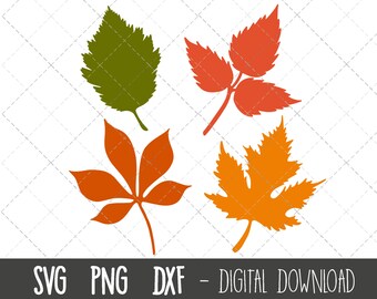 Fall leaves SVG, autumn leaves svg clipart, leaves clipart bundle, leaves svg files, fall leaf cut file, leaf cricut silhouette svg cut file