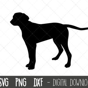 Coonhound svg, dog svg, Coonhound silhouette, Coonhound outline png, Coonhound clipart, dog pet png, dxf, cricut silhouette svg cut file