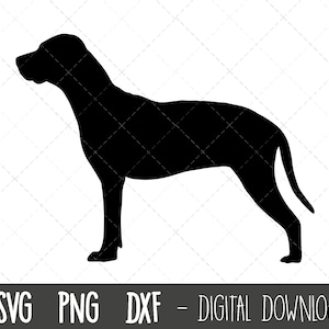 Leopard hound svg, dog svg, American Leopard hound silhouette, hound outline png, hound clipart, dog pet png, cricut silhouette svg cut file