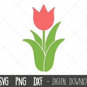 Tulp SVG, Lentebloem SVG, bloem svg, bloem clipart, lente clipart, bloemen svg, bloemen clipart, tulp cricut silhouet svg snijvijl