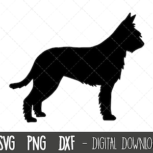 Berger Picard SVG, dog svg, Berger Picard silhouette, Berger Picard outline png, Berger Picard clipart, pet png, cricut silhouette cut file