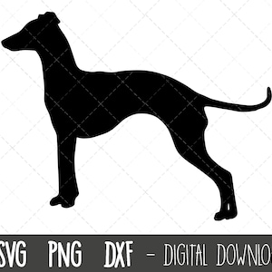 Italienisches Windhund svg, Hund svg, Greyhound Silhouette, Greyhound Silhouette png, Greyhound Clipart, Hund Haustier png, dxf, cricut Silhouette Plotterdatei