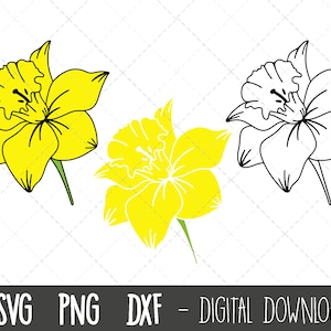 Narcis SVG, Lentebloem SVG bundel, bloem svg, lente bloem clipart, bloemen clipart, narcis bloem png, cricut silhouet gesneden bestand