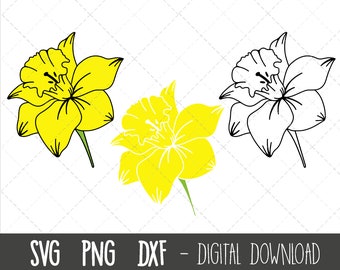 Daffodil SVG, Spring flower SVG bundle, flower svg, spring flower clipart, floral clipart, daffodil flower png, cricut silhouette cut file